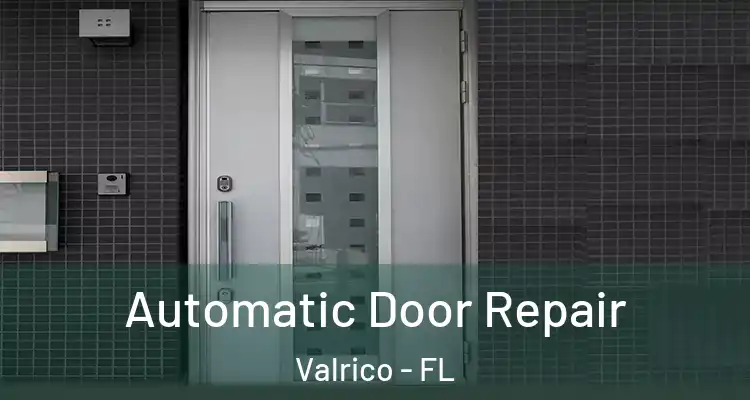 Automatic Door Repair Valrico - FL