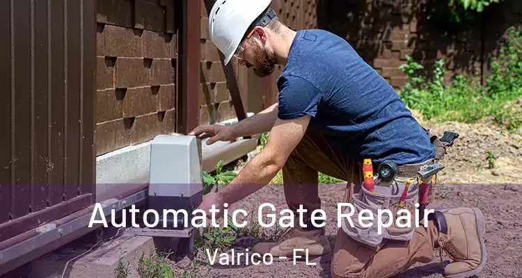 Automatic Gate Repair Valrico - FL