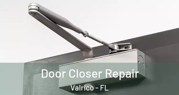 Door Closer Repair Valrico - FL