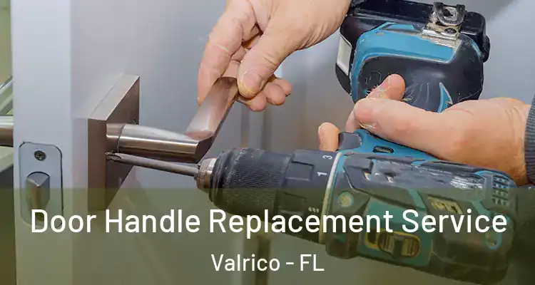 Door Handle Replacement Service Valrico - FL