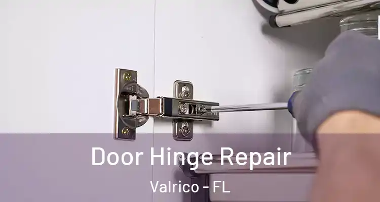 Door Hinge Repair Valrico - FL