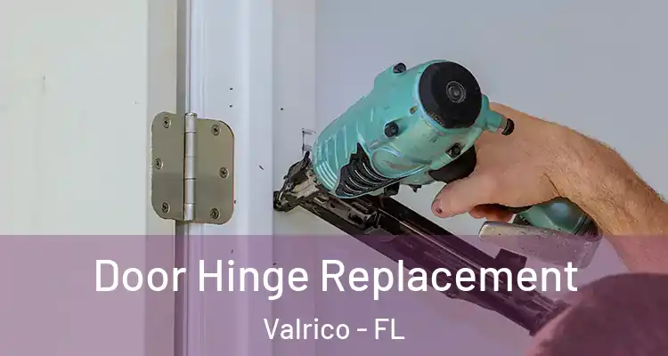 Door Hinge Replacement Valrico - FL
