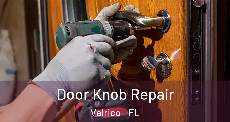 Door Knob Repair Valrico - FL