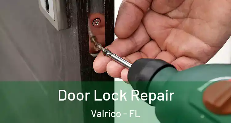 Door Lock Repair Valrico - FL