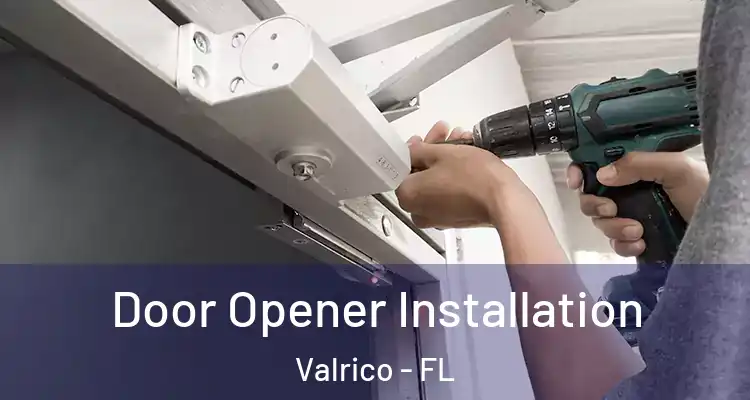 Door Opener Installation Valrico - FL