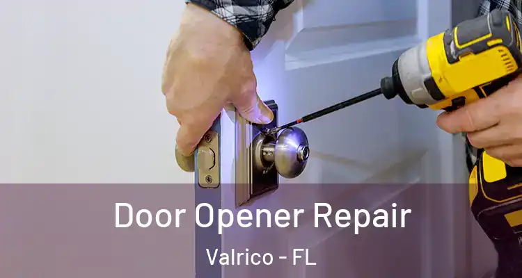 Door Opener Repair Valrico - FL