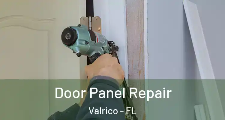 Door Panel Repair Valrico - FL