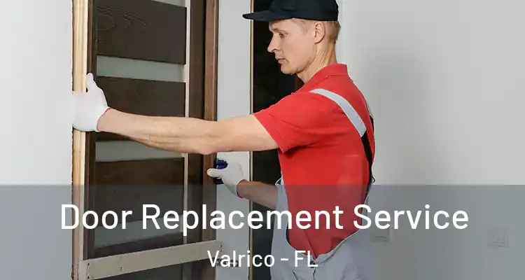Door Replacement Service Valrico - FL
