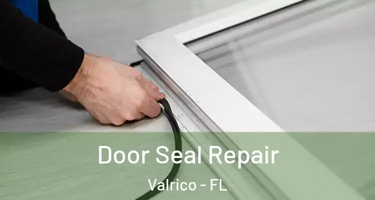 Door Seal Repair Valrico - FL
