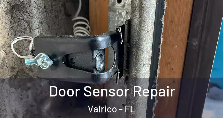 Door Sensor Repair Valrico - FL
