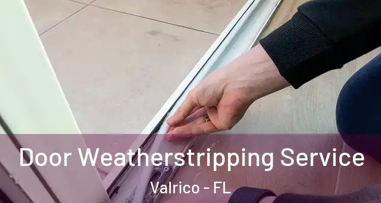 Door Weatherstripping Service Valrico - FL