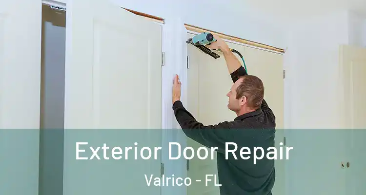 Exterior Door Repair Valrico - FL