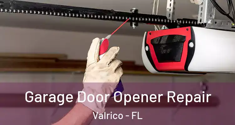 Garage Door Opener Repair Valrico - FL