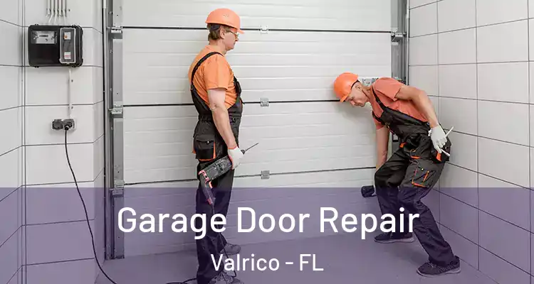 Garage Door Repair Valrico - FL