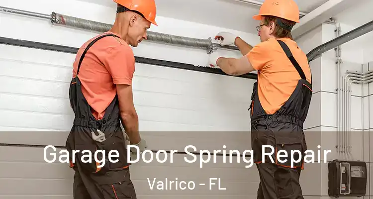 Garage Door Spring Repair Valrico - FL