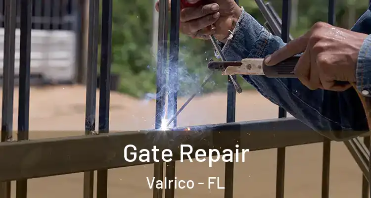 Gate Repair Valrico - FL