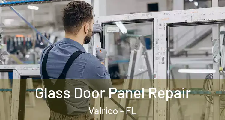 Glass Door Panel Repair Valrico - FL
