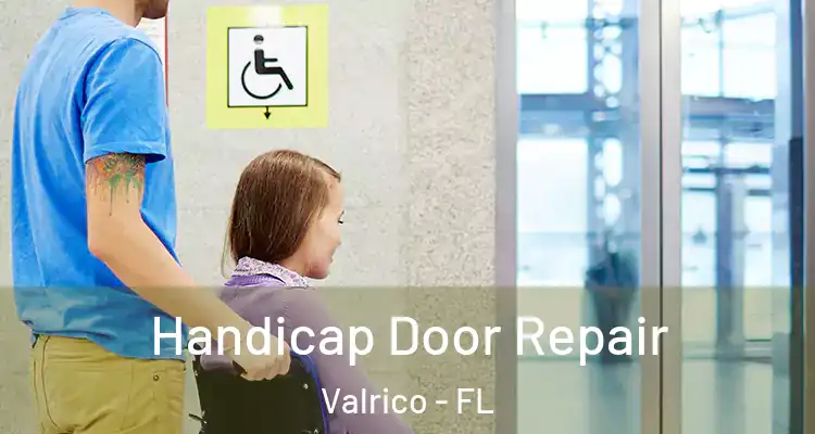 Handicap Door Repair Valrico - FL
