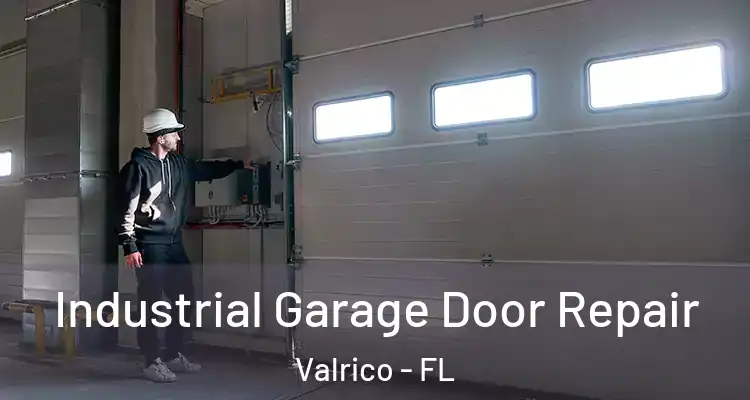 Industrial Garage Door Repair Valrico - FL