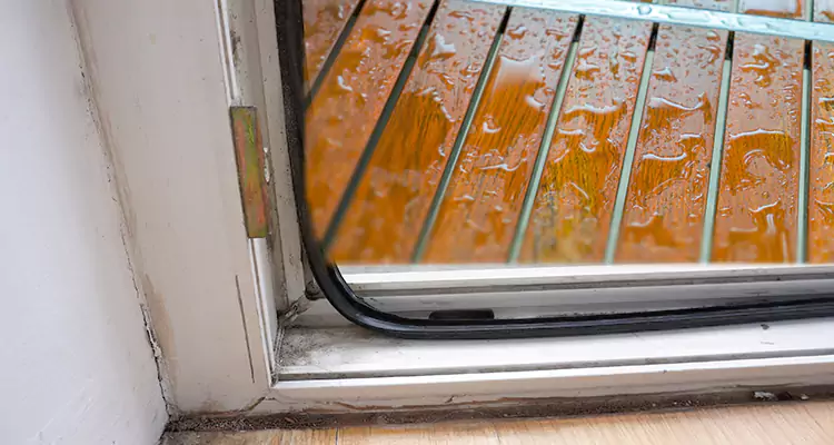 Water Leaking Wooden Patio Doors Repair in Valrico, FL
