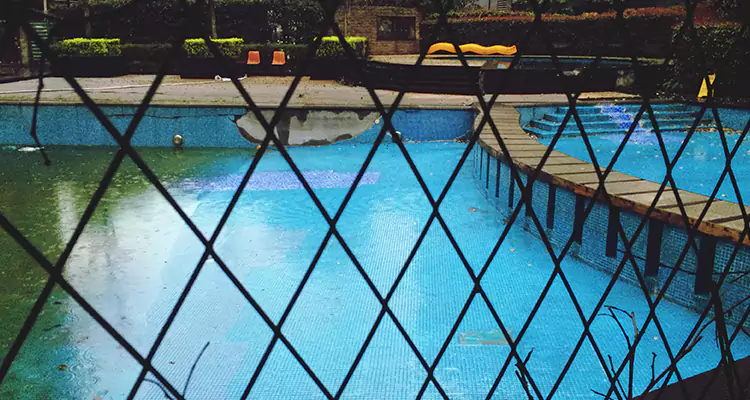 Lanai Screen Repair in Valrico, FL