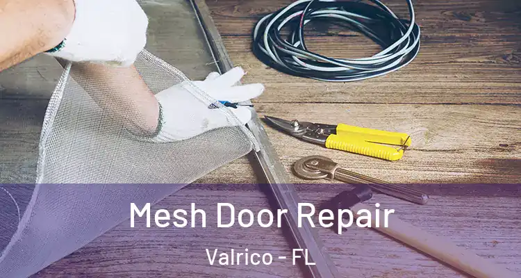 Mesh Door Repair Valrico - FL
