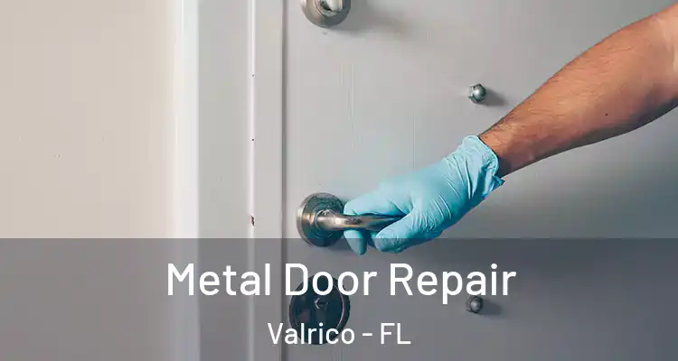 Metal Door Repair Valrico - FL