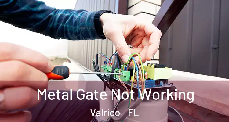 Metal Gate Not Working Valrico - FL