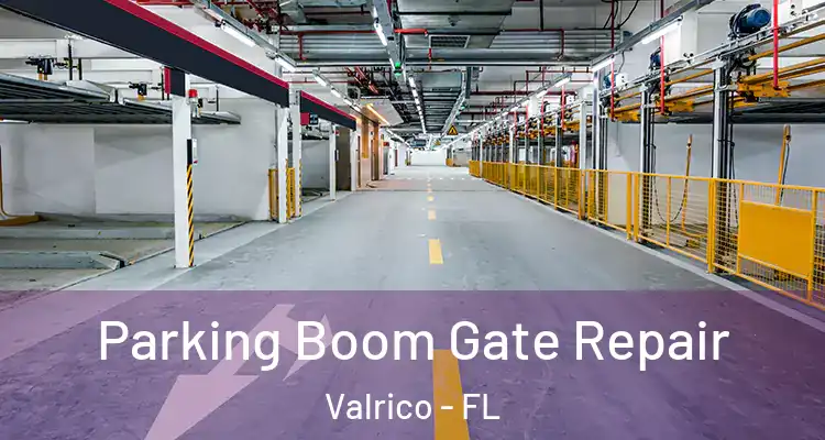 Parking Boom Gate Repair Valrico - FL