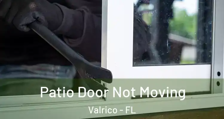 Patio Door Not Moving Valrico - FL
