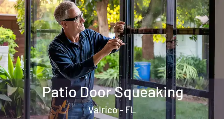 Patio Door Squeaking Valrico - FL