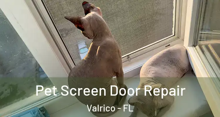Pet Screen Door Repair Valrico - FL