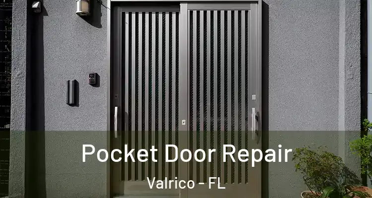 Pocket Door Repair Valrico - FL