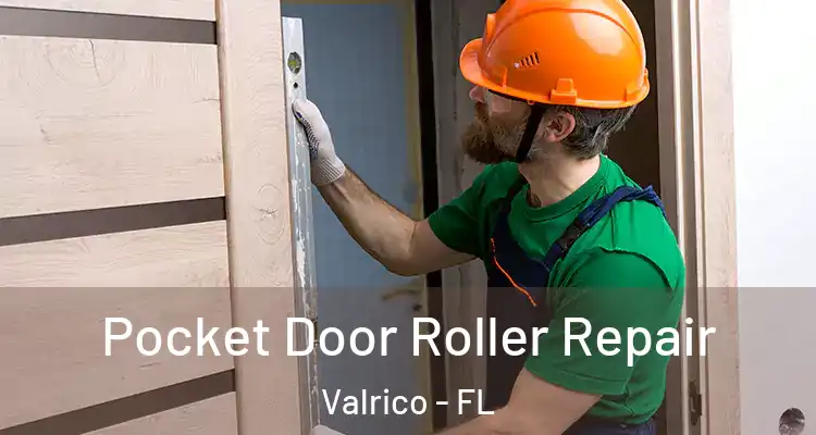 Pocket Door Roller Repair Valrico - FL