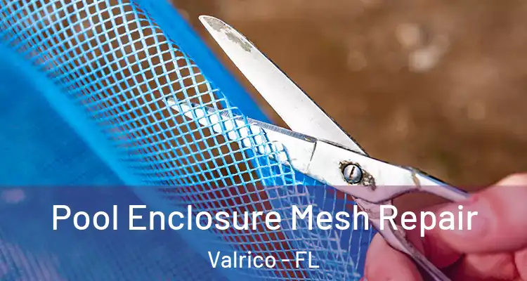 Pool Enclosure Mesh Repair Valrico - FL