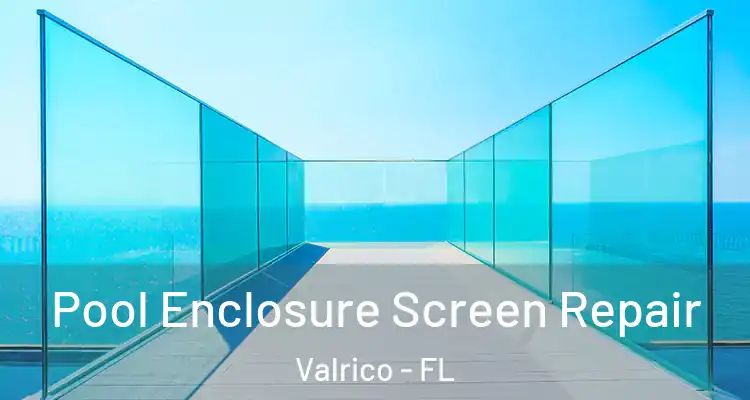 Pool Enclosure Screen Repair Valrico - FL
