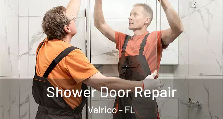Shower Door Repair Valrico - FL