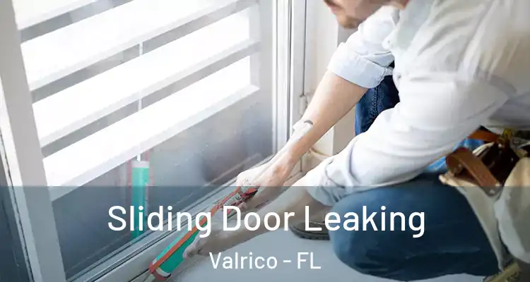 Sliding Door Leaking Valrico - FL