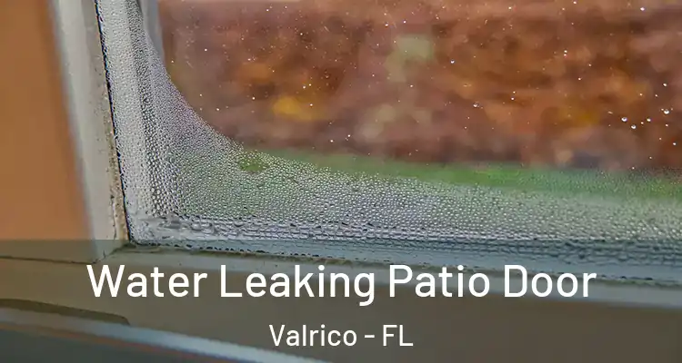 Water Leaking Patio Door Valrico - FL