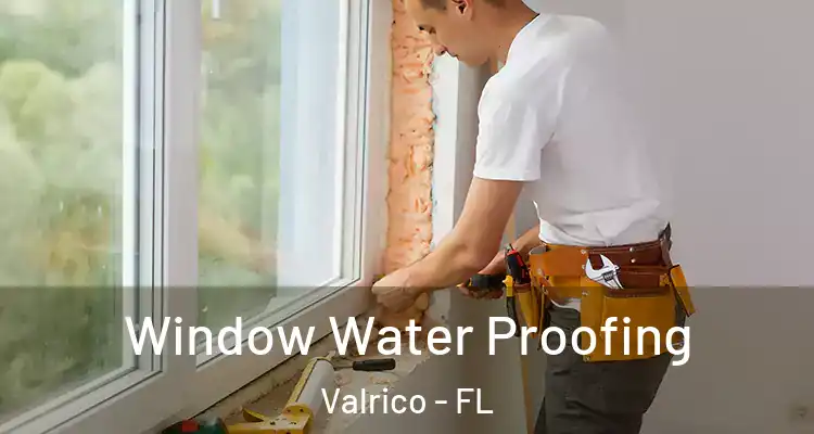 Window Water Proofing Valrico - FL